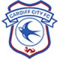 Cardiff City-120x120