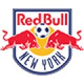 New York Red Bulls-120x120