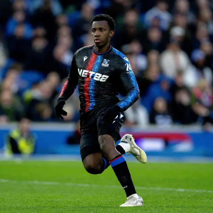 Maillot Authentique Manches Longues Troisième Homme Crystal Palace 2024/25