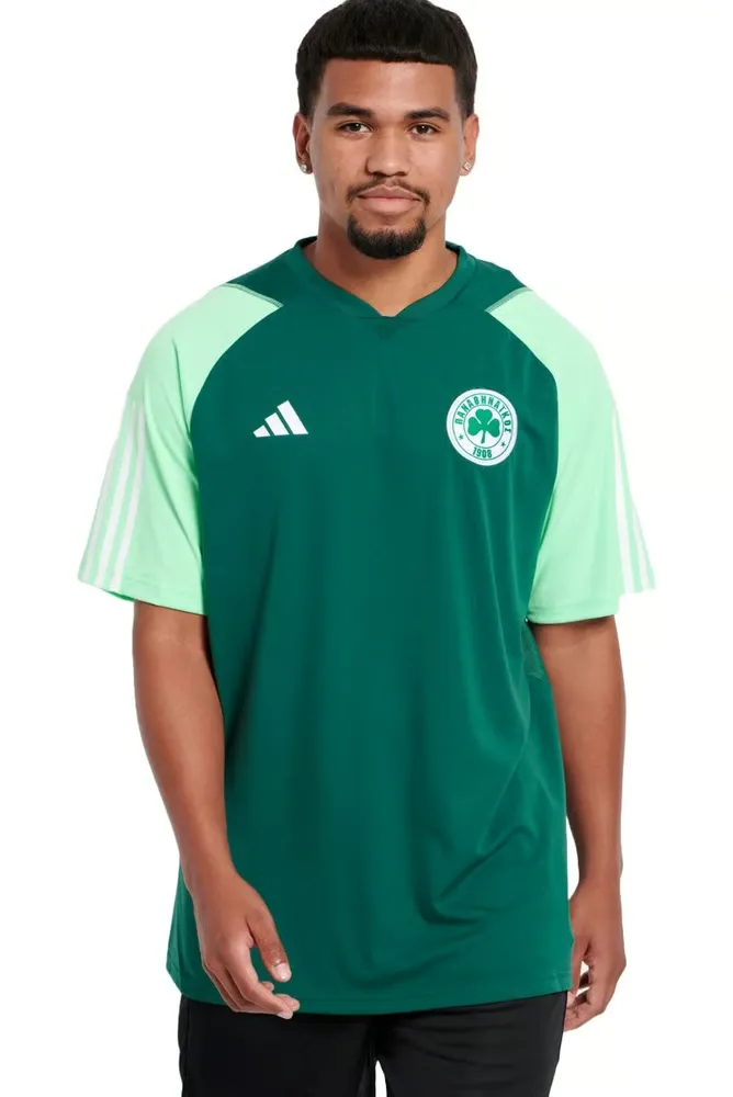 Chemise d'entraînement authentique troisième Panathinaikos FC hommes 2023/24 - Verte