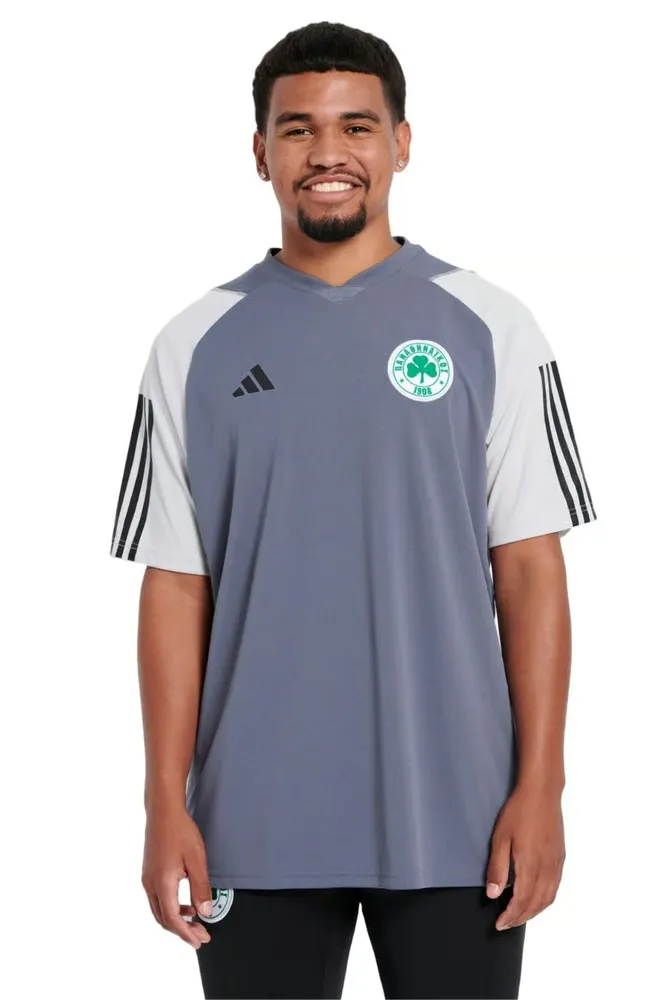 Chemise d'entraînement authentique troisième Panathinaikos FC hommes 2023/24 - Grise