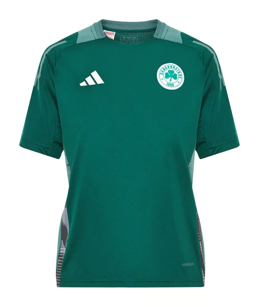 Maillot third authentique de training féminin Panathinaikos FC 2024/25 - Vert
