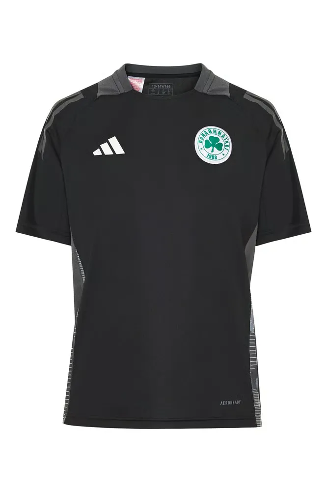 Maillot third authentique de training féminin Panathinaikos FC 2024/25 - Noir