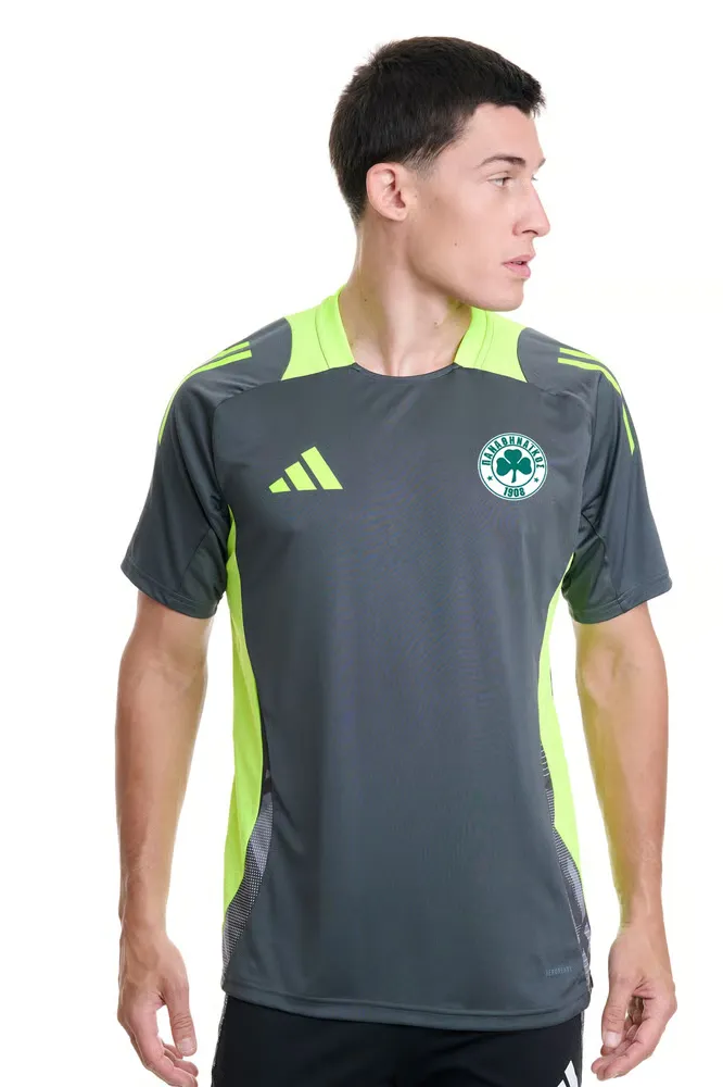 Maillot third authentique de training féminin Panathinaikos FC 2024/25 - Gris