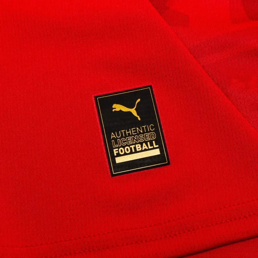 Tchèque Maillot Domicile EURO 2024 – Image 2