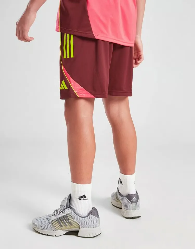 1685544_A8F18804-7F3A-A2E6-C31A-7B90B1C7AF69