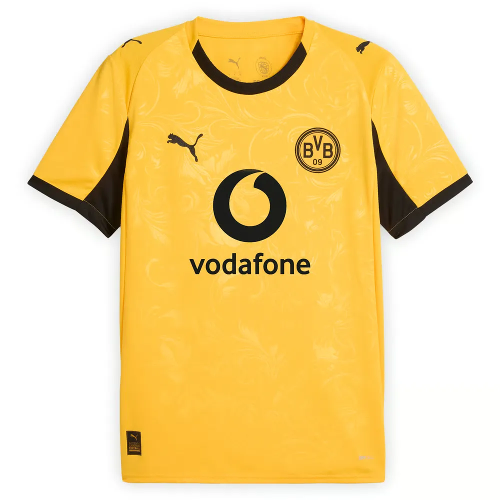Homme BVB Borussia Dortmund 2025/26 Maillot Coupe