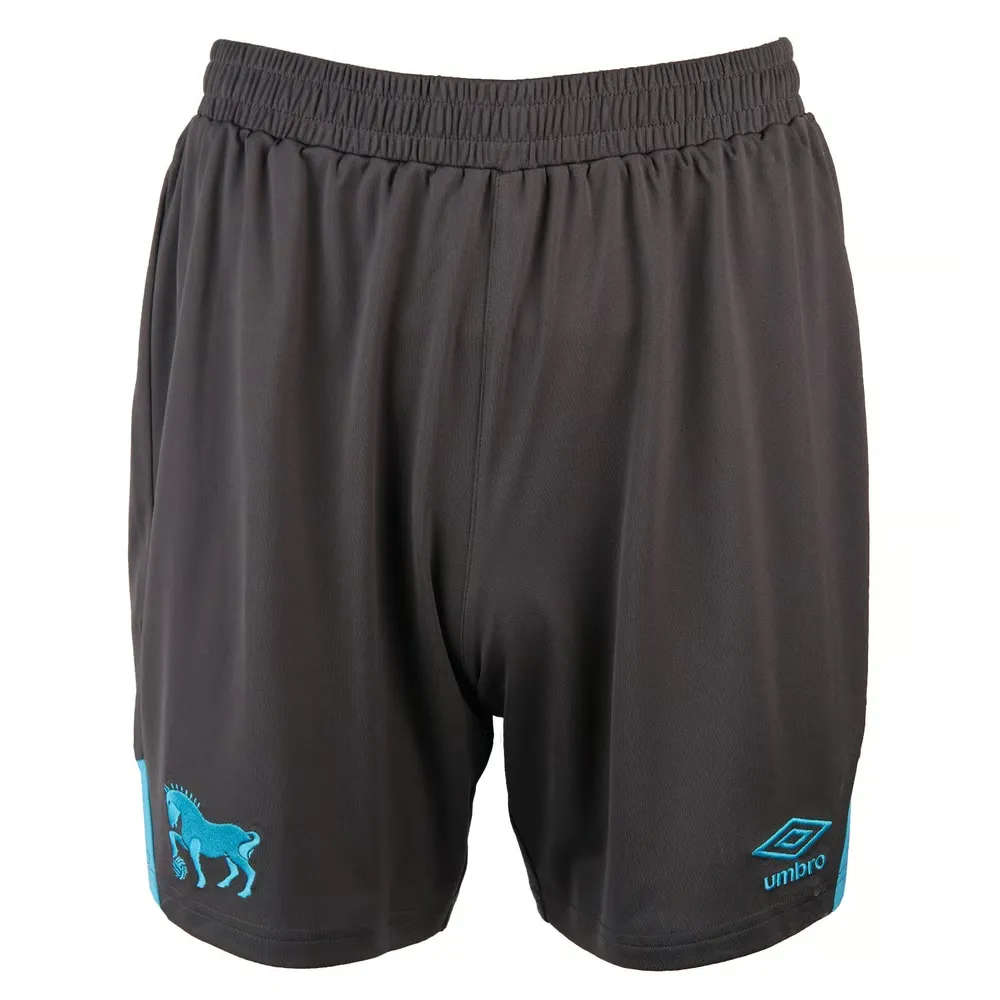 Homme Ipswich Town 2025/26 Troisième Short