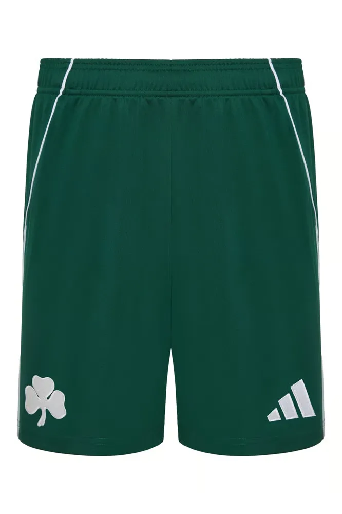 Homme Panathinaikos FC 2025/26 Shorts Domicile