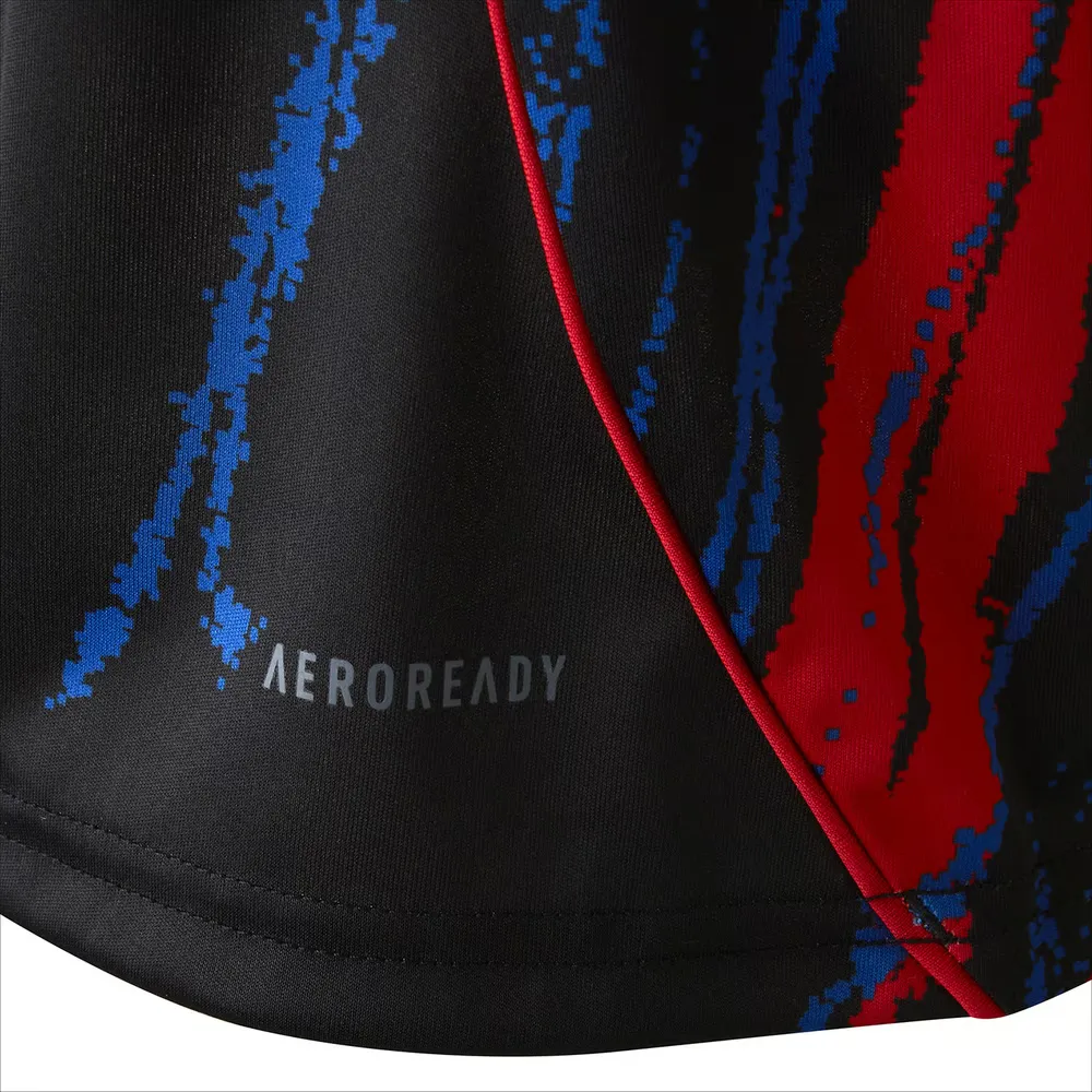 Maillot Européen Troisième OL 2025/26 Homme – Image 5