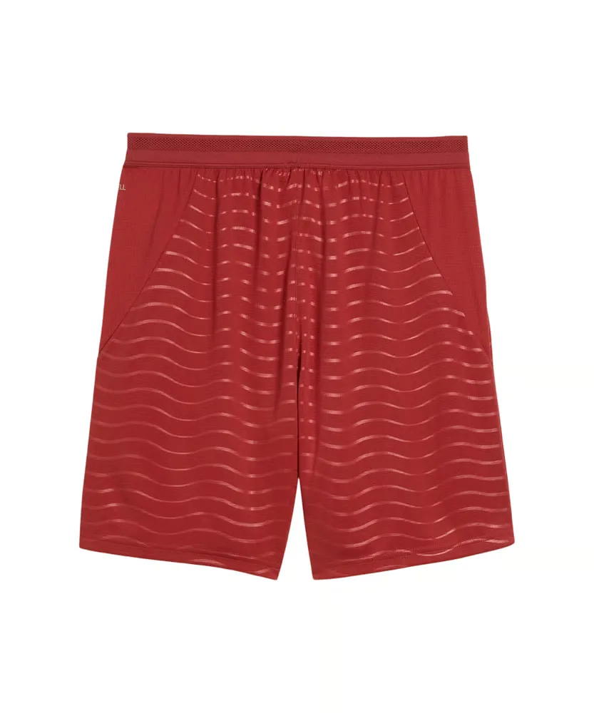 2582633_7568FD84-F402-2618-FDAF-6D26732C2D8A